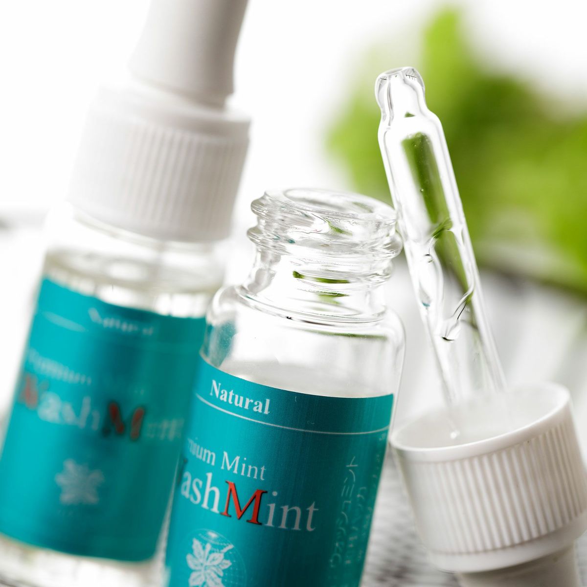 ウォッシュミントイメージ