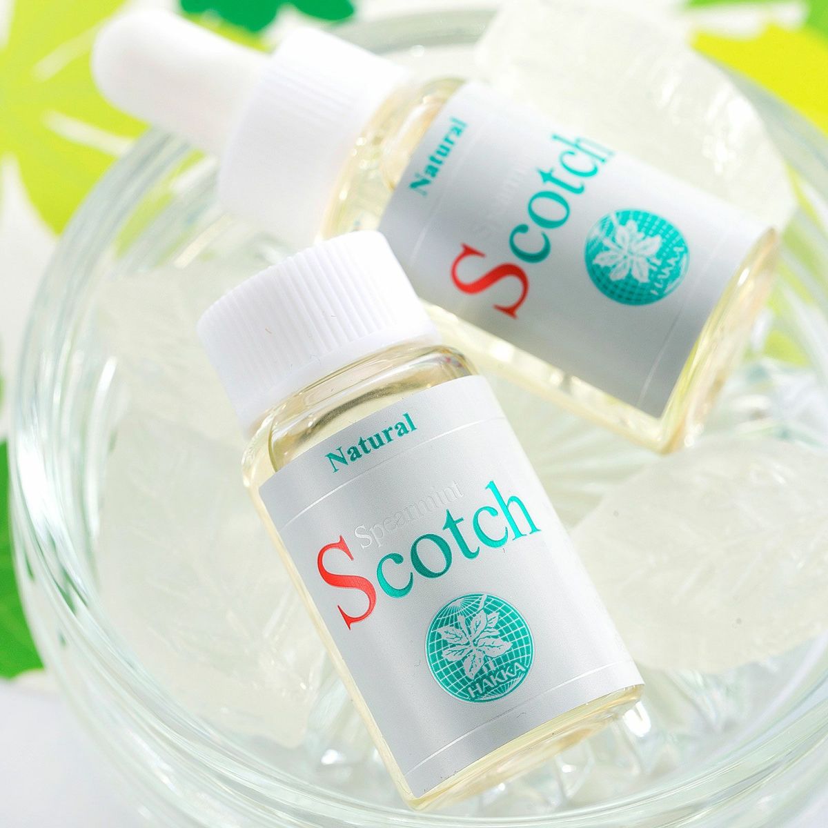 スペアミントイメージ