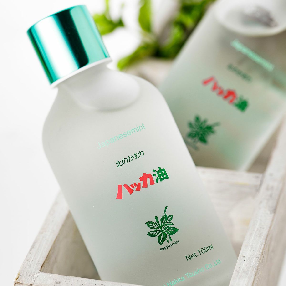 ハッカ油ボトル100mlイメージ